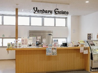Yanbaru Gelato Daisekirinzan-ten