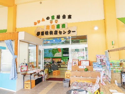 Chokubaijo Izumi Mikan no Sato